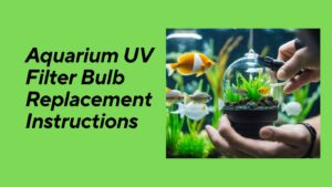 Read more about the article Aquarium UV Filter Bulb Replacement Instructions: A Step-by-Step Guide