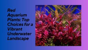 Read more about the article Red Aquarium Plants: Top Choices for a Vibrant Underwater Landscape