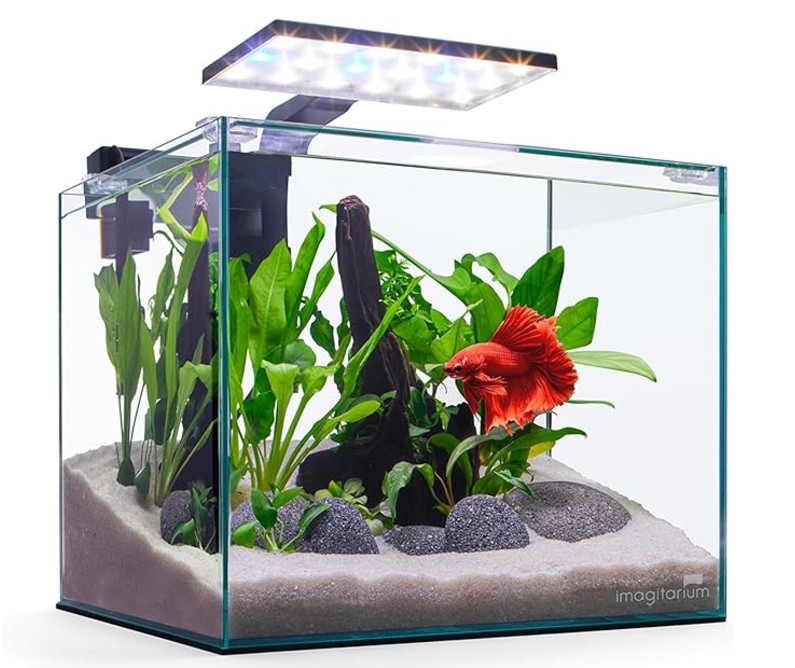 imagitarium aquarium starter kit instructions