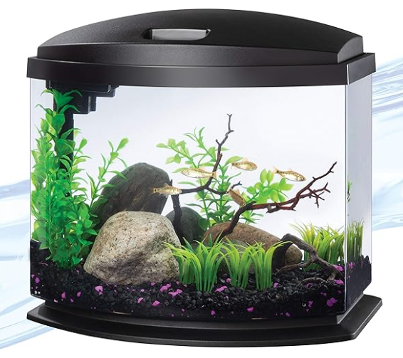 how long a 5 gallon aquarium last