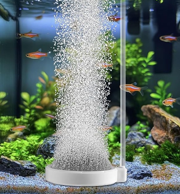 does a planted aquarium need a bubbler