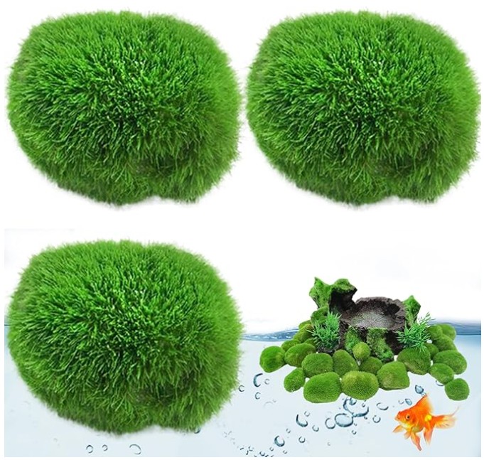 can moss balls replace plants in an aquarium