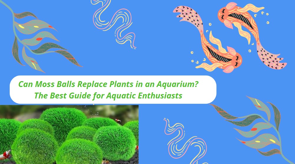 You are currently viewing Can Moss Balls Replace Plants in an Aquarium? The Best Guide for Aquatic Enthusiasts