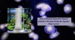 Read more about the article Does a Planted Aquarium Need a Bubbler? The Best Guide for Aquatic Plant Lovers