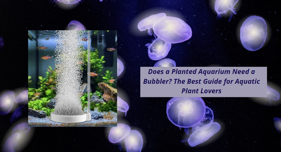 You are currently viewing Does a Planted Aquarium Need a Bubbler? The Best Guide for Aquatic Plant Lovers