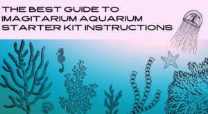 Read more about the article The Best Guide to Imagitarium Aquarium Starter Kit Instructions: Easy Steps for Beginners