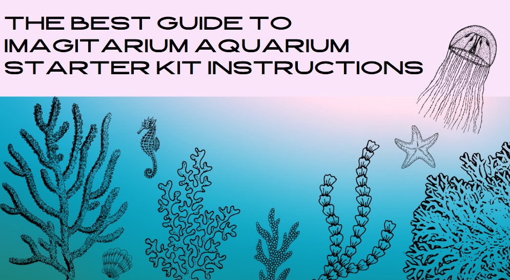 You are currently viewing The Best Guide to Imagitarium Aquarium Starter Kit Instructions: Easy Steps for Beginners