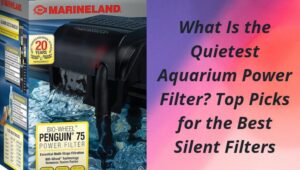 Read more about the article What Is the Quietest Aquarium Power Filter? Top Picks for the Best Silent Filters