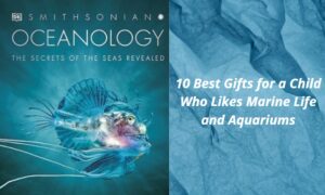 Read more about the article 10 Best Gifts for a Child Who Likes Marine Life and Aquariums