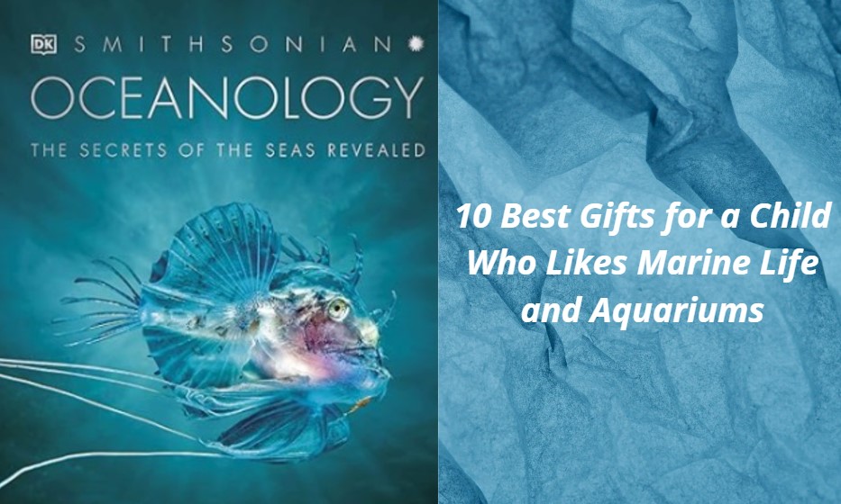 You are currently viewing 10 Best Gifts for a Child Who Likes Marine Life and Aquariums