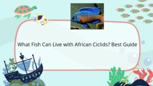 Read more about the article What Fish Can Live with African Ciclids? The Best Options for Your Tank