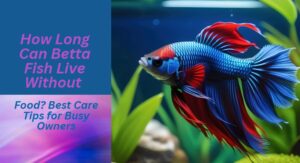 Read more about the article How Long Can Betta Fish Live Without Food? Best Care Tips for Busy Owners