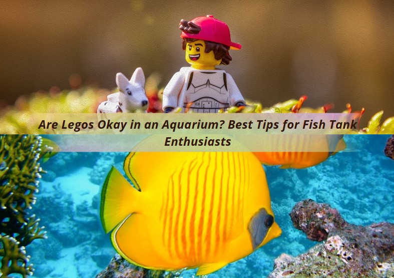 You are currently viewing Are Legos Okay in an Aquarium? Best Tips for Fish Tank Enthusiasts