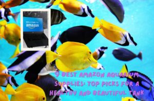 Read more about the article 9 Best Amazon Aquarium Supplies: Top Picks for a Healthy and Beautiful Tank