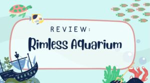 Read more about the article Rimless Aquarium: The Ultimate Guide to Choosing and Setting Up