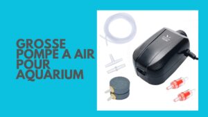 Read more about the article Grosse Pompe a Air pour Aquarium: Essential Tips for Optimal Performance