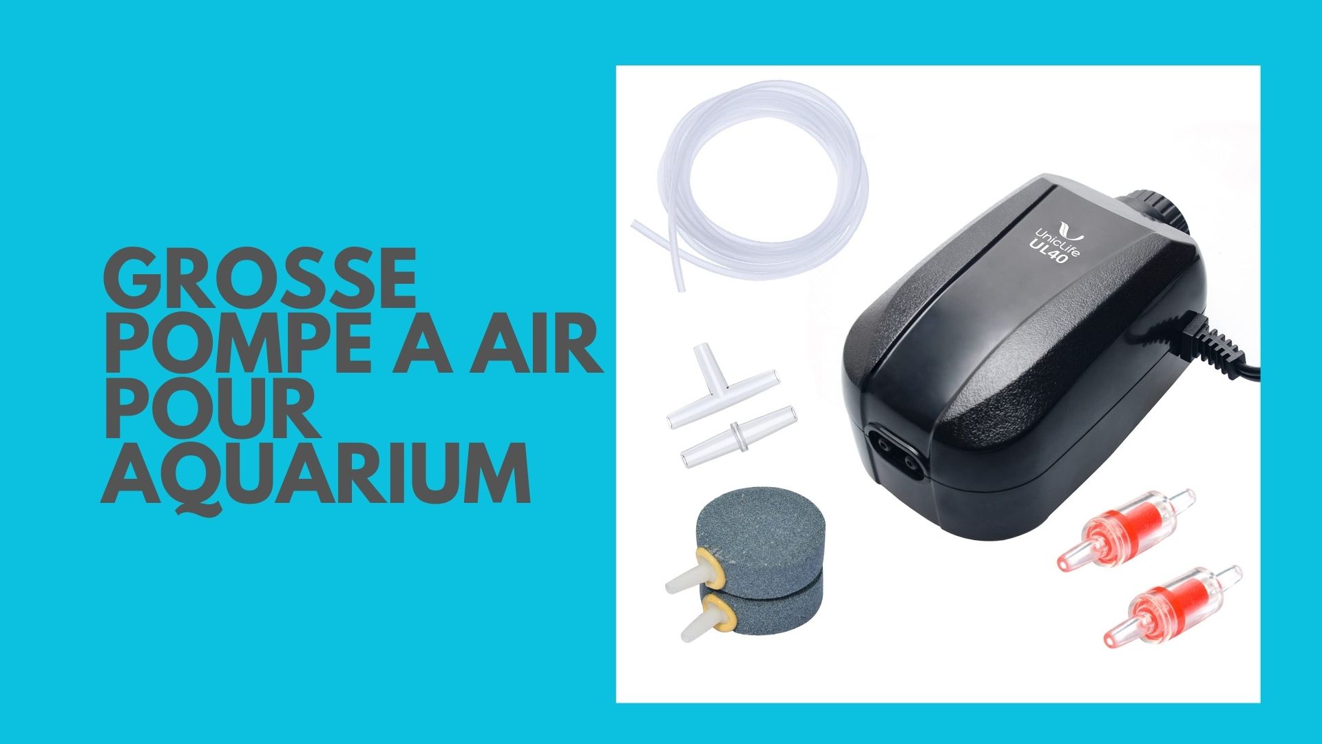 You are currently viewing Grosse Pompe a Air pour Aquarium: Essential Tips for Optimal Performance