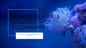 Read more about the article Skimmers for 5 Gallon Aquariums: Essential Guide to Maintaining Water Quality