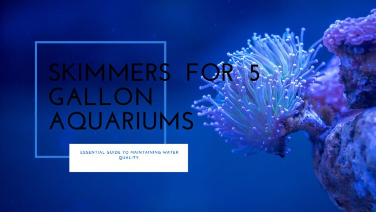 skimmers for 5 gallon aquariums