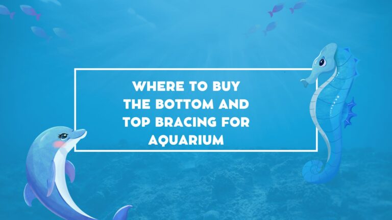 where to buy the bottom and top bracing for aquarium