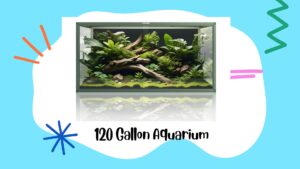 Read more about the article 120 Gallon Aquarium: Essential Tips for Setup and Maintenance