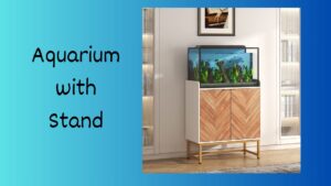 Read more about the article Aquarium with Stand: The Essential Guide for Setup and Maintenance