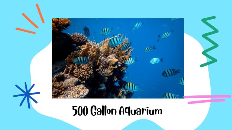 500 gallon aquarium