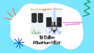 Read more about the article 10 Gallon Aquarium Filter: Essential Guide for Clean and Healthy Fish Tanks