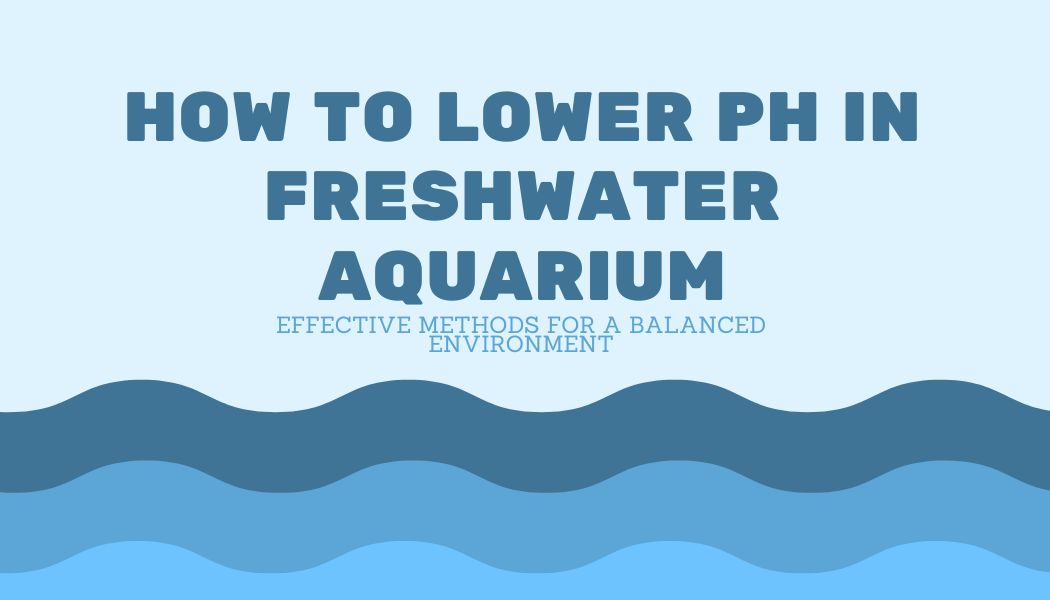 You are currently viewing How to Lower pH in Freshwater Aquarium: Effective Methods for a Balanced Environment