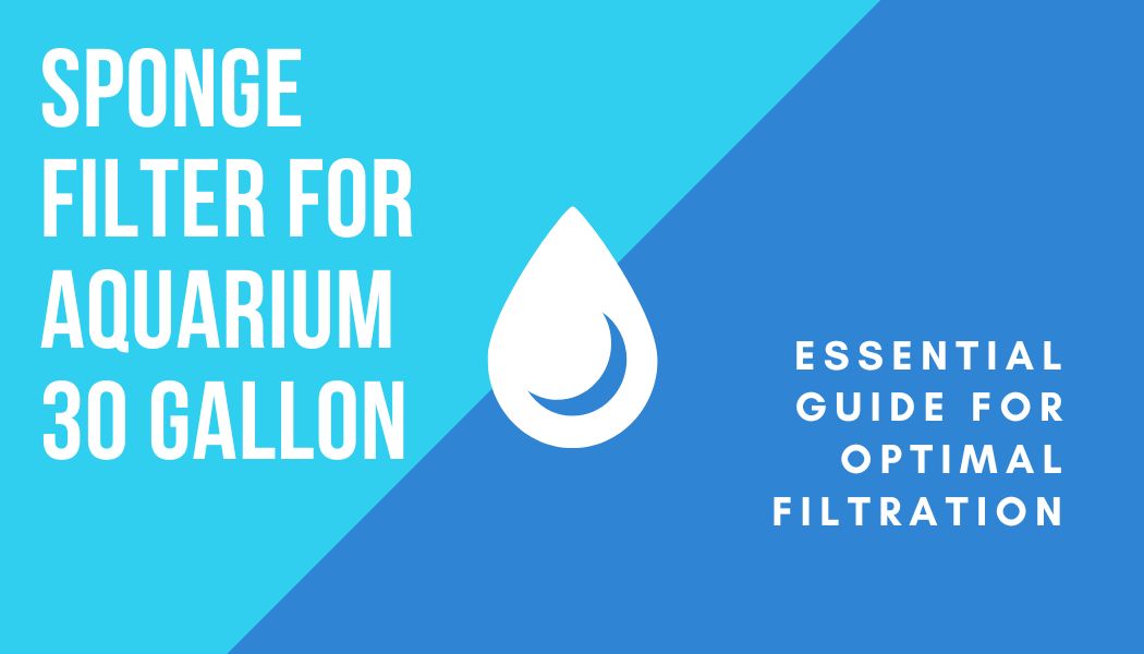 You are currently viewing Sponge Filter for Aquarium 30 Gallon: Essential Guide for Optimal Filtration