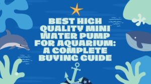 Read more about the article Best High Quality Mini Water Pump for Aquarium: A Complete Buying Guide