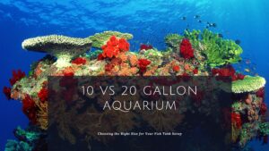 Read more about the article 10 vs 20 Gallon Aquarium: Choosing the Right Size for Your Fish Tank Setup