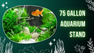 Read more about the article How to Choose the Perfect 75 Gallon Aquarium Stand for Your Setup